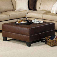 Ottoman Benches, Coffee Tables, and Storage