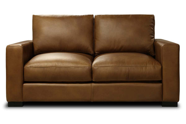 Hugh Modern Leather Track Arm Loveseat