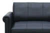 Image of Kerwin 80 Inch Leather Transitional Queen Sleeper Sofa