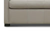 Image of Rowen 77 Inch Leather Contemporary Queen Sleeper Sofa