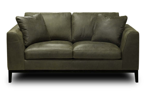 Simon Modern European Leather Track Arm Loveseat
