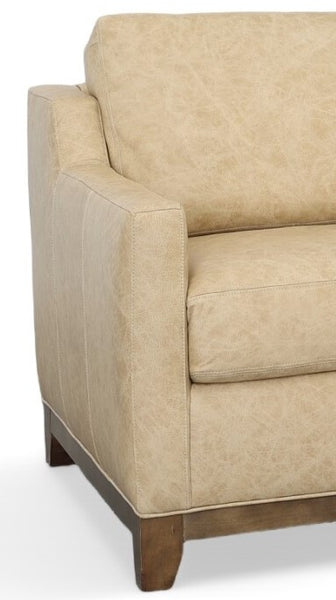 Martin Pillow Back Leather Sofa Or Sleeper Sofa