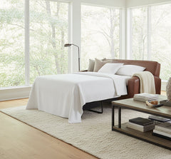 Hayden 81 Inch Contemporary Leather Queen Sofa Bed