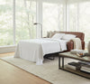 Hayden 81 Inch Contemporary Leather Queen Sofa Bed