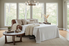 Hayden 81 Inch Contemporary Leather Queen Sofa Bed