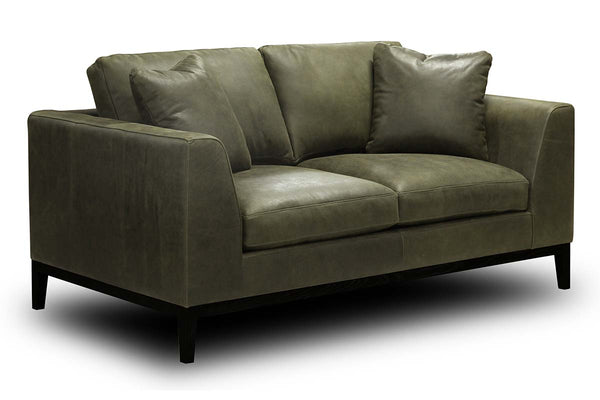 Simon Modern European Leather Track Arm Loveseat