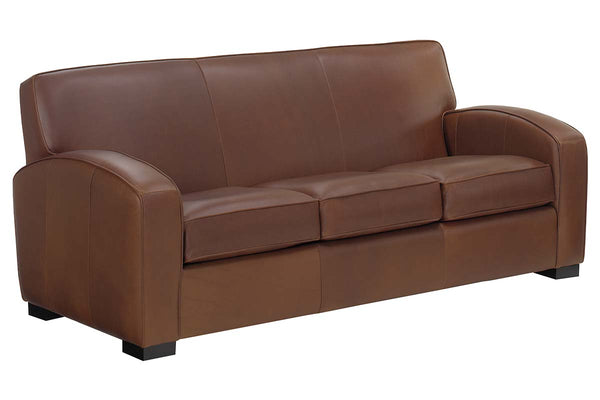 Hayden Contemporary Leather Loveseat