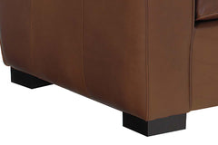 Hayden 81 Inch Contemporary Leather Queen Sofa Bed