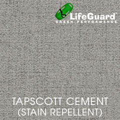 Tapscott Cement Tier 3 LifeGuard Stain Repellent Fabrics