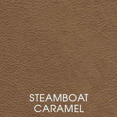 Tier 2 Top Grain Leather